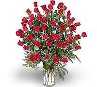 Envio y venta de flores ,rosas, plantas,arreglos florales ,regalos y desayunos a domicilio con delivery gratis en la Ciudad Autonoma de Buenos Aires y con costo de env�o en localidades del Gran Buenos Aires asi como delivery de flores y plantas a trav�s de florerias asociadas en todas las provincias de la Argentina, Buenos Aires, la Pampa, Tucuman, La Rioja, R�o Negro, Entre Rios, Corrientes, Misiones, Neuquen, Chubut, Tierra del Fuego, Santa Cruz, San Luis, Mendoza, Cordoba, Jujuy, Formosa, Santiago del Estero, Salta, Chaco, Catamarca ,San Juan, y ademas realizamos el delivery de flores ,coronas,palmas , plantas y regalos a todas las ciudades de Argentina, Mar del Plata, C�rdoba, Buenos Aires, con cargo en Santa Rosa, La Plata, Bella Vista, Neuquen, Pilar, Paran�, Posadas, Resistencia, Cipolleti y mas de 300 ciudades y localidades en todo el territorio de nuestro pa�s, asi como tambien tenemos la posibilidad de enviar flores a casi todo el mundo en cuestion de horas